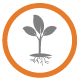 Organic or Conventional